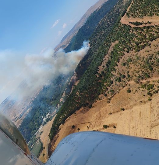 Balıkesir’de orman yangını