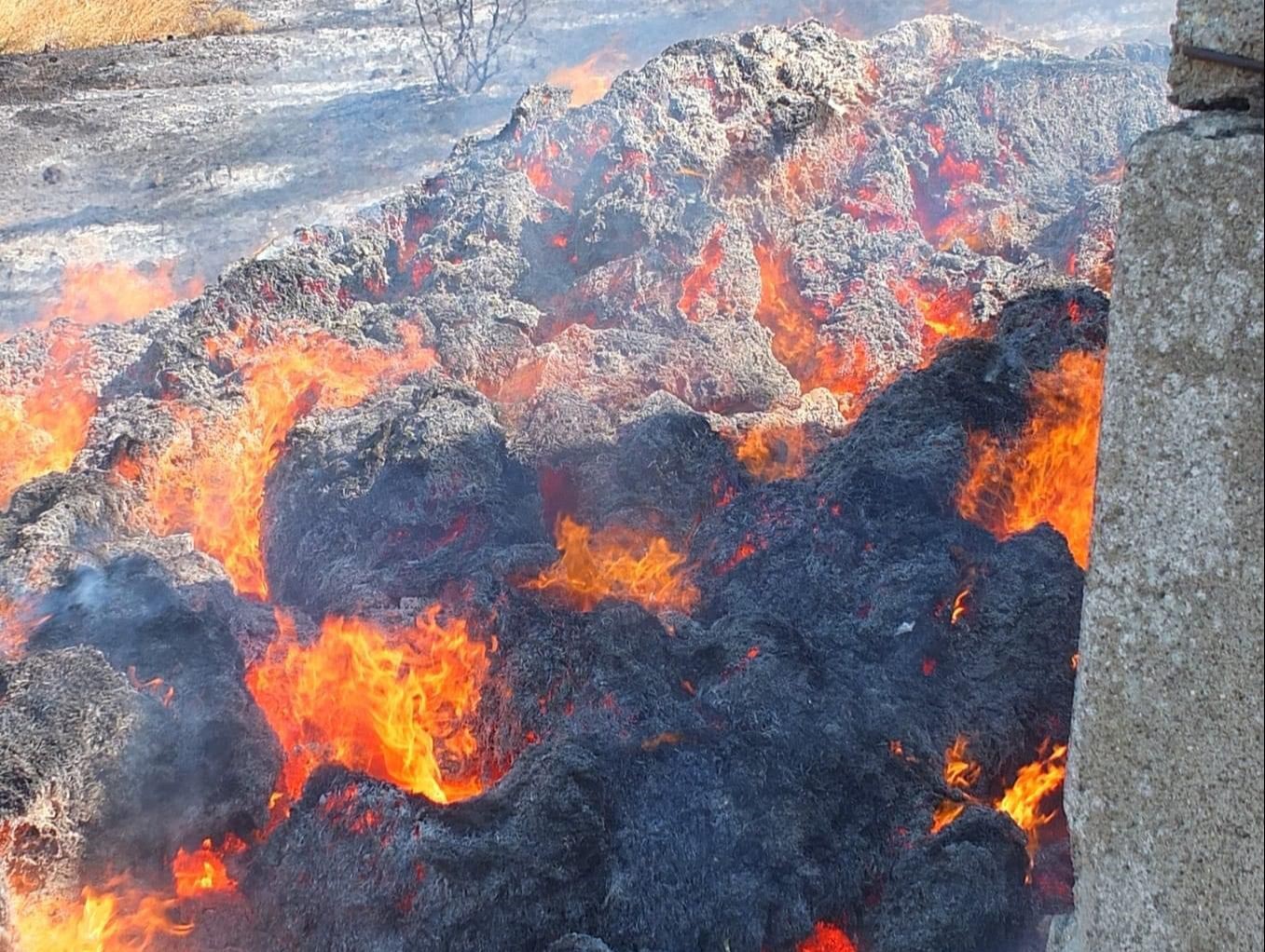 Balıkesir’in Bandırma ilçesindeki bir