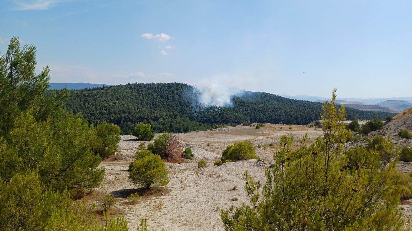 Balıkesir’in Bigadiç ilçesinde ormanlık