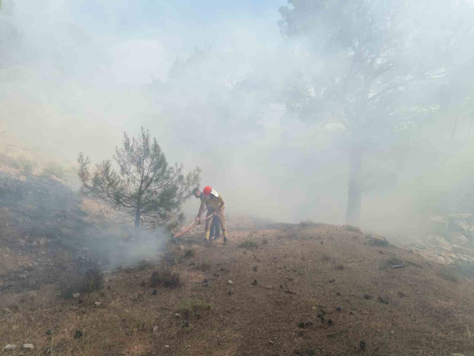 Balıkesir’in Burhaniye ilçesinde çıkan