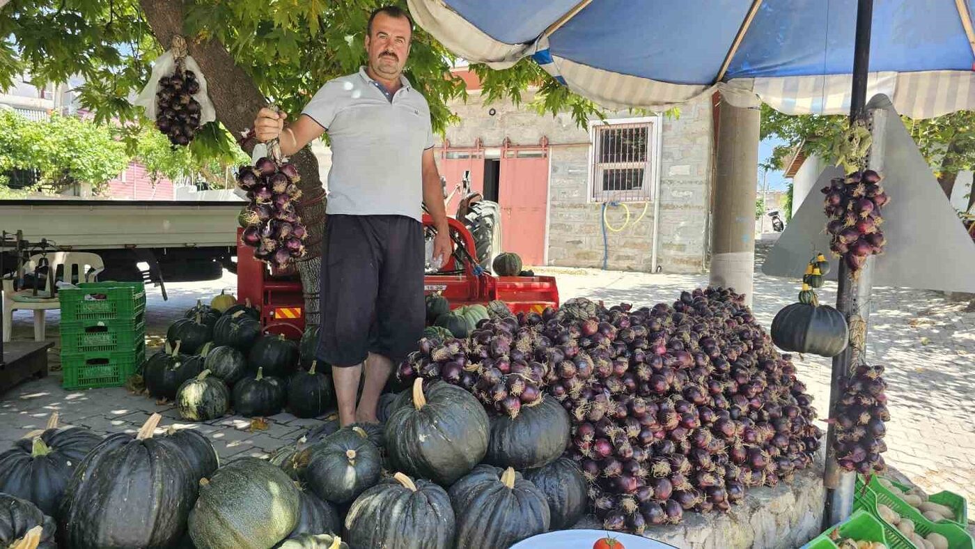 Kapıdağ mor soğanı tezgahlarda yerini aldı