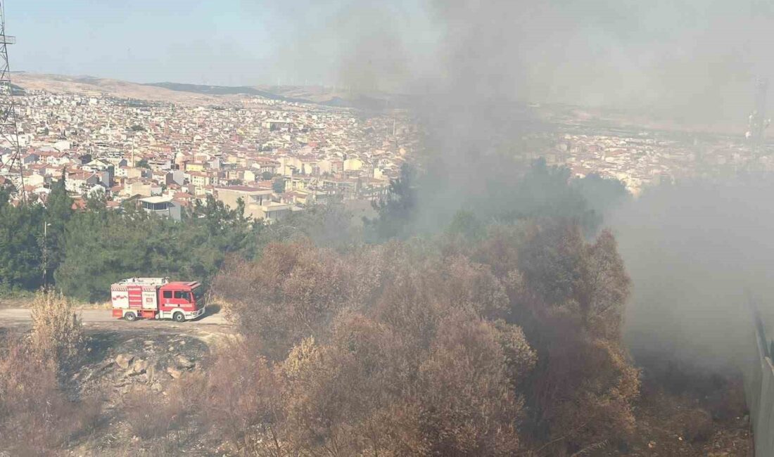 Balıkesir merkez Karesi ilçesinde