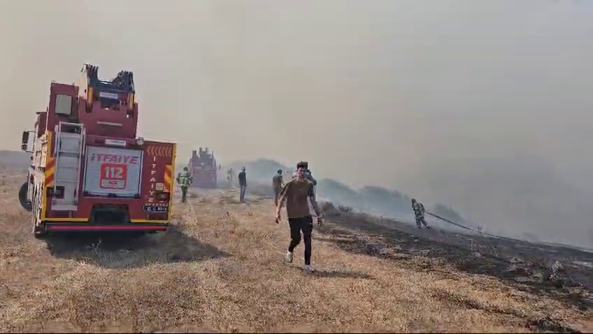 Balıkesir’in Bandırma ilçesinde otluk