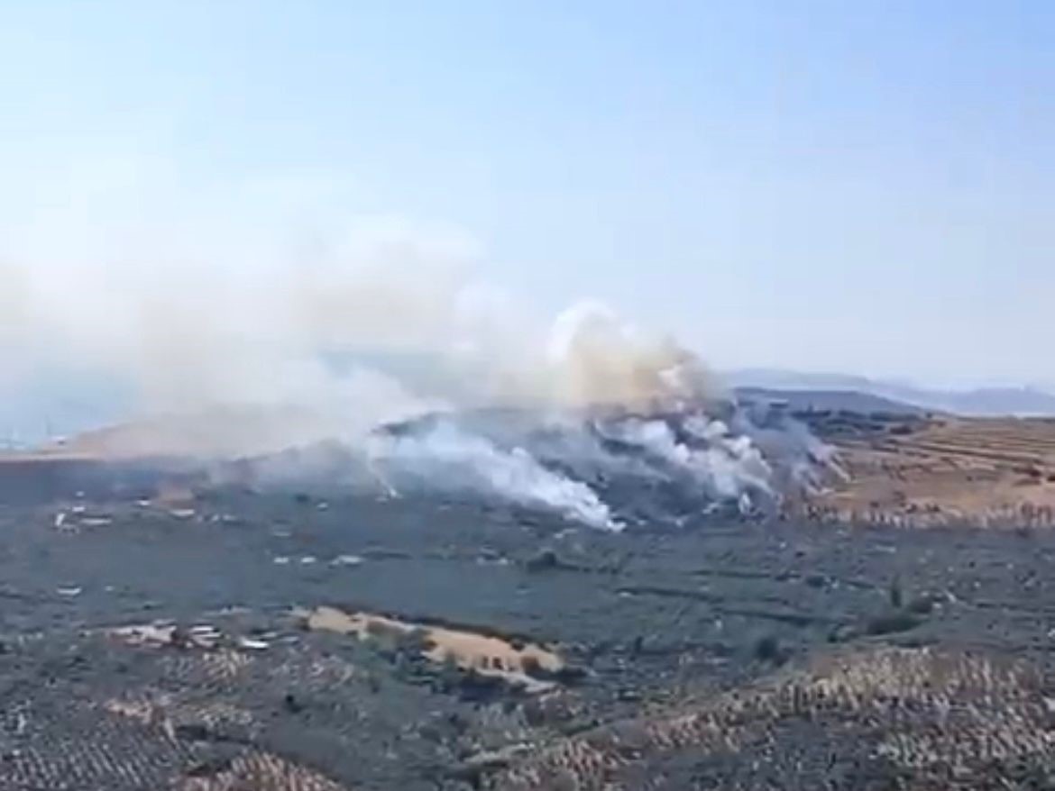 Balıkesir’in Erdek ilçesinde ormanlık