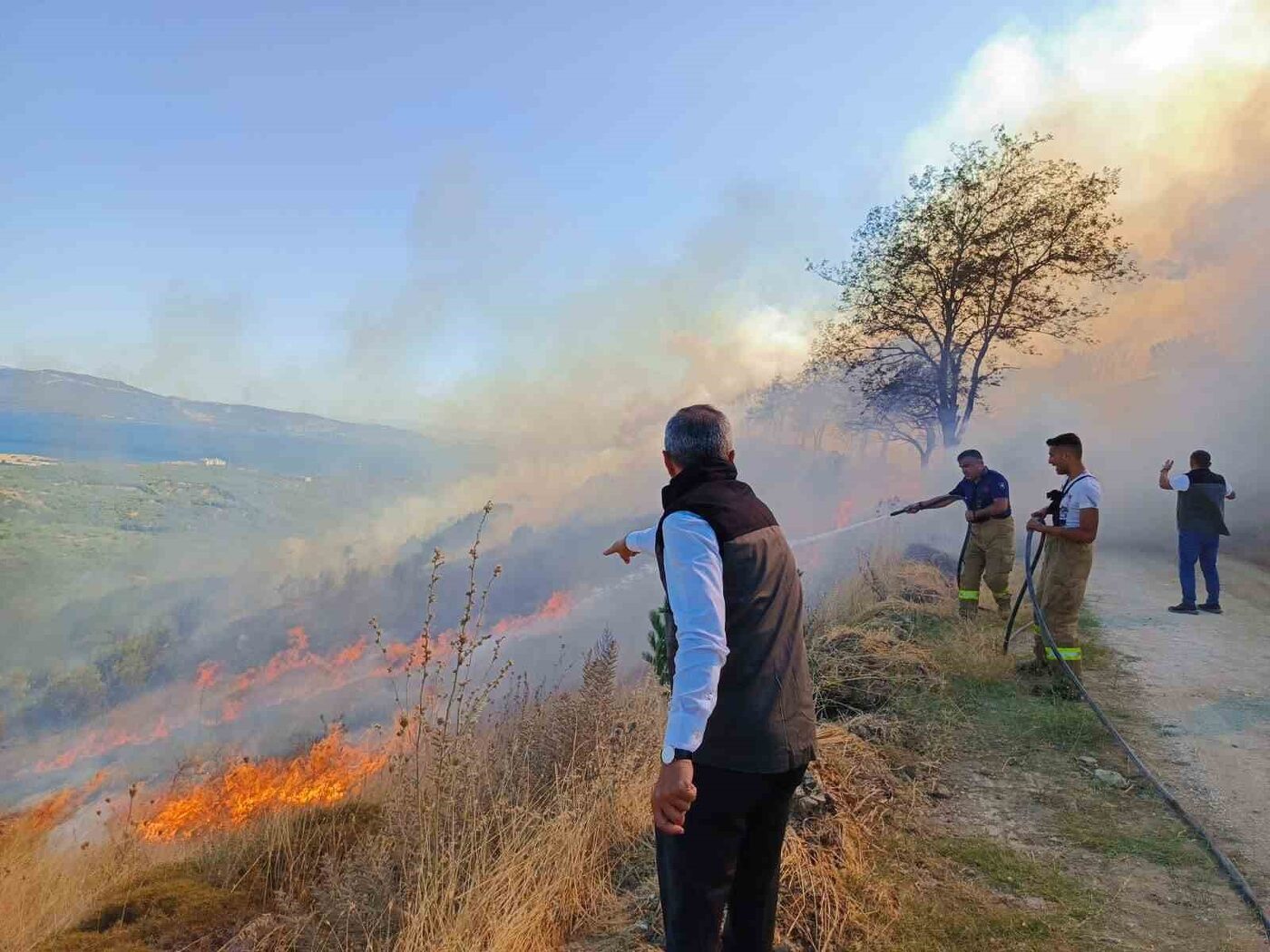 Erdek’teki yangın söndürüldü