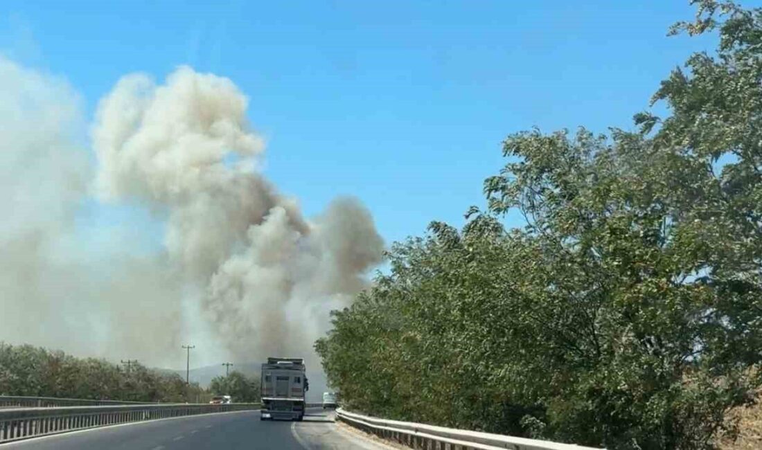 Balıkesir-Susurluk karayolu üzerinde yol