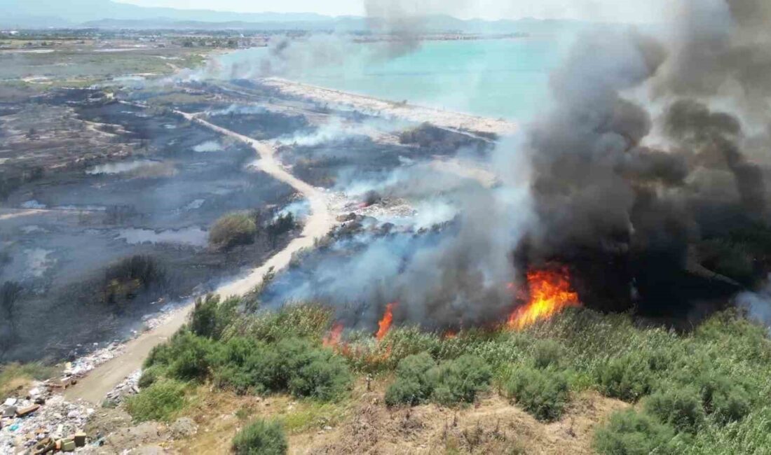 Balıkesir’in Edremit ilçesinde kuşların