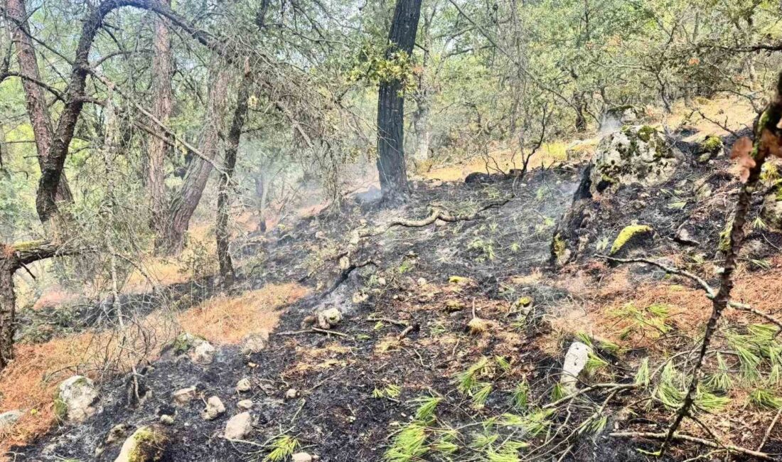 Balıkesir’in Havran ilçesi Halaçlar