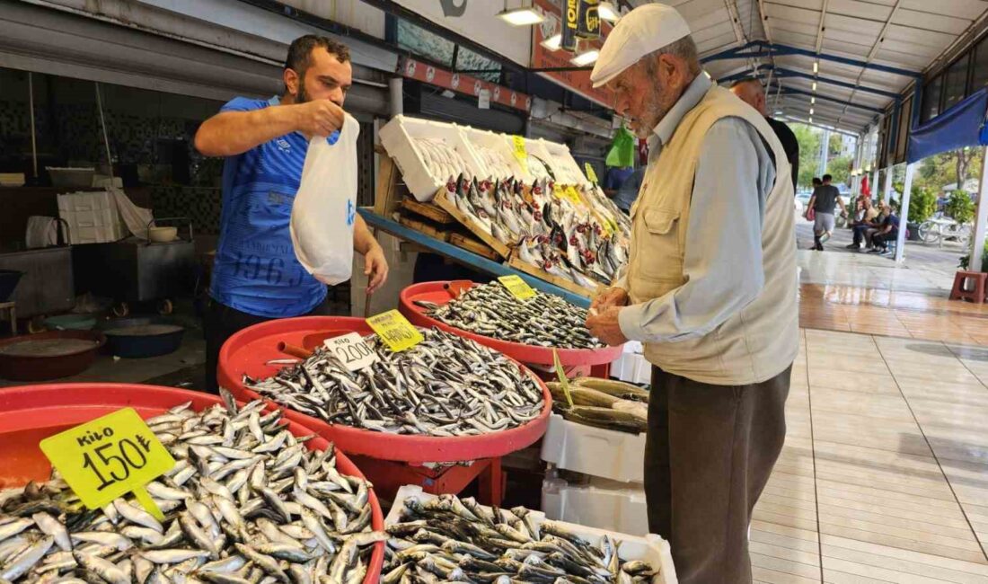 Balıkesir’in Bandırma ilçesinde av