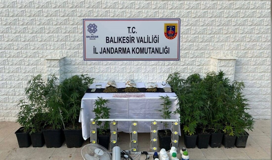 Balıkesir’de jandarma tarafından 10