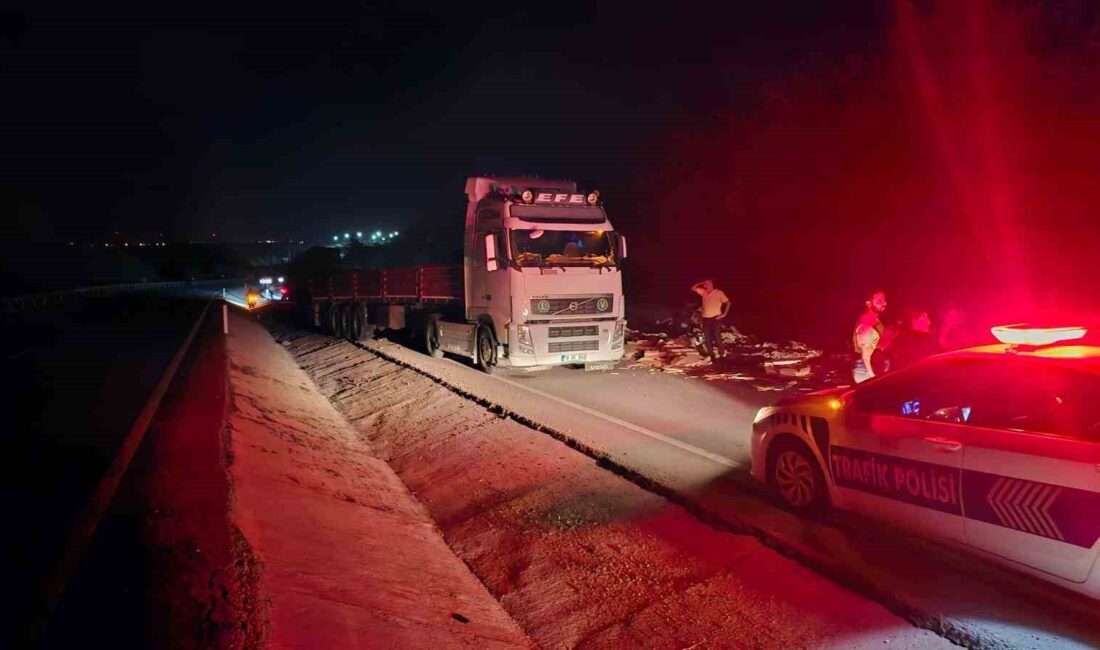 Balıkesir’in Bandırma ilçesinde, kontrolden