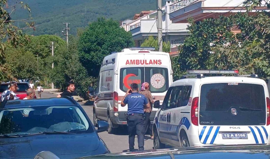 Balıkesir’in Erdek ilçesinde bir