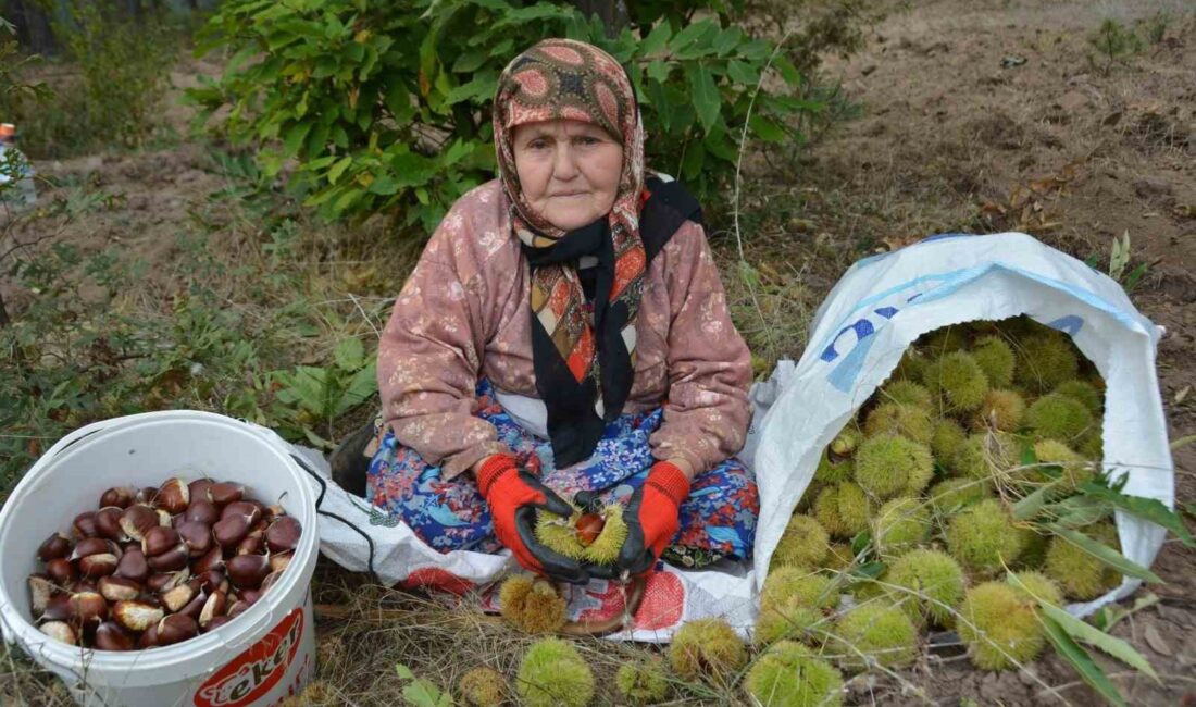 Balıkesir’in Bigadiç İlçesinde dağlık