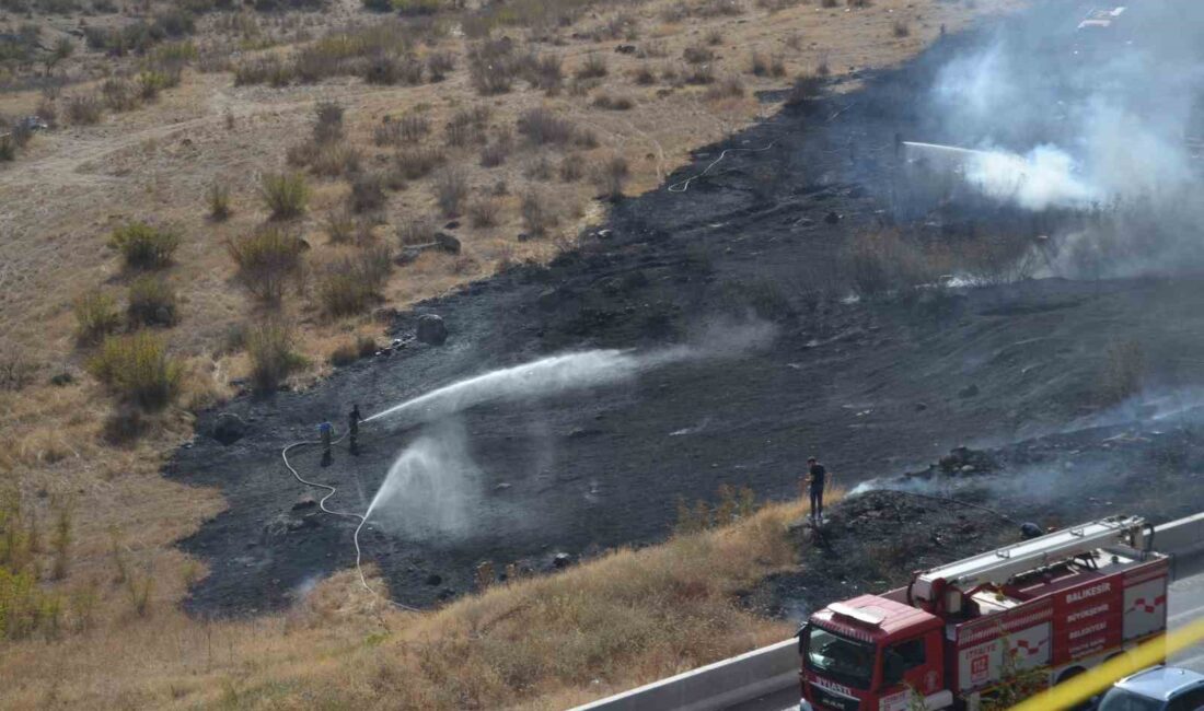 Balıkesir’in Karesi ilçesinde bulunana