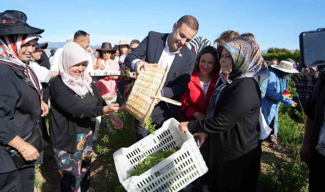 Dünya Kadın Çiftçiler Günü’nü