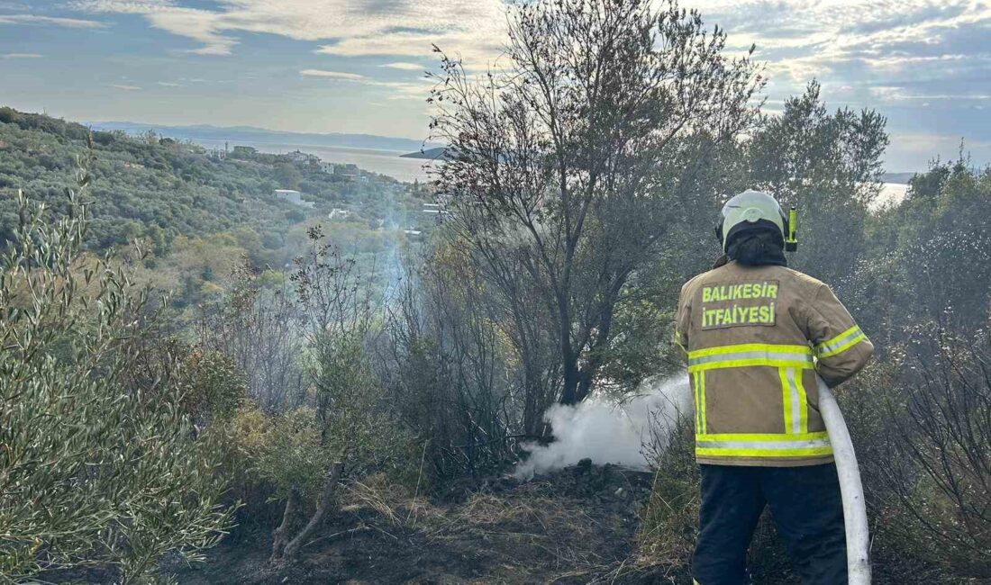 Balıkesir’in Erdek ilçesine çıkan