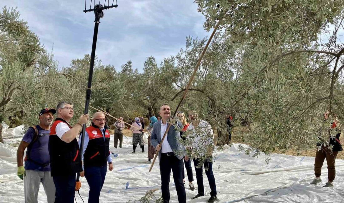 Balıkesir’in Edremit Körfezi bölgesinin