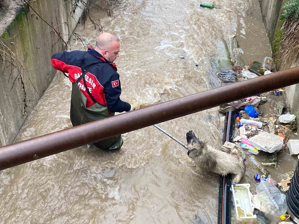 Balıkesir’in Manyas ilçesinde, su dolu bir tahliye kanalına düşen iki