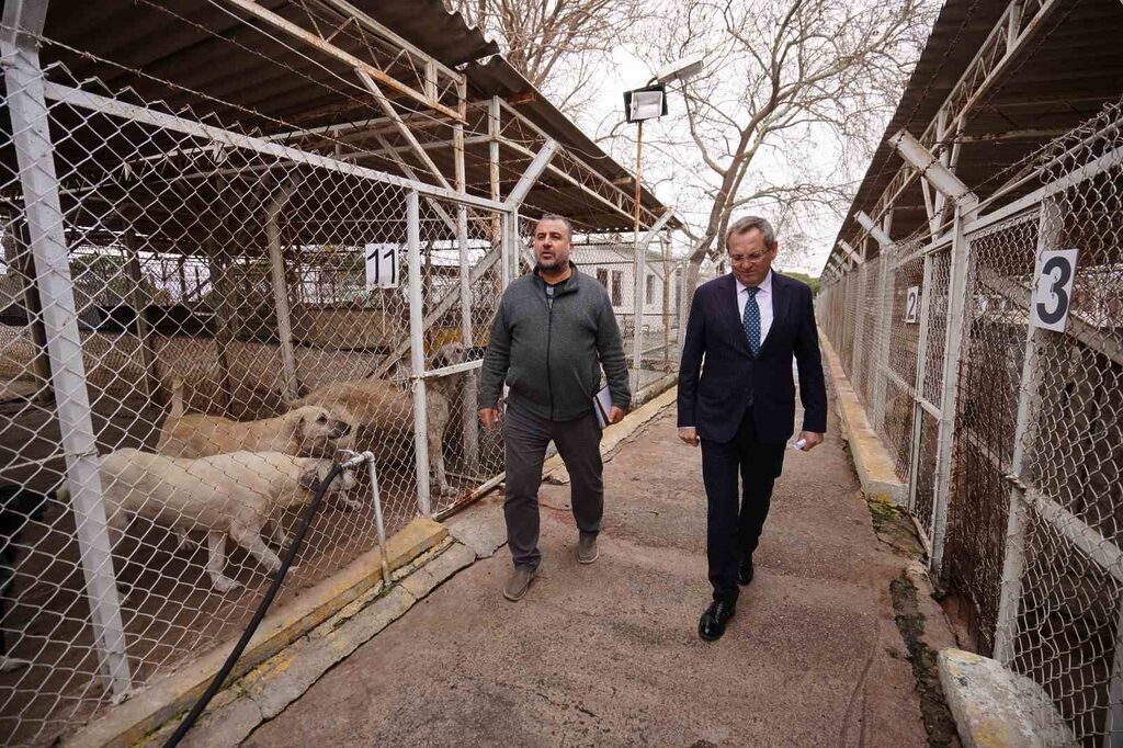 Ayvalık Belediyesi Veterinerlik İşleri Müdürlüğü 2024 yılı boyunca 8 bin