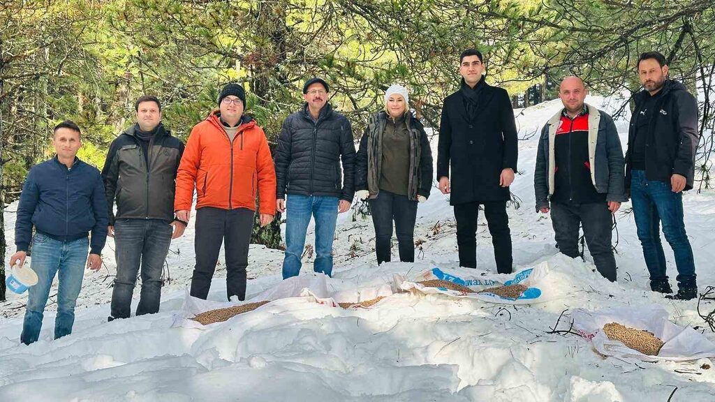 Balıkesir’in Havran İlçe Tarım ve Orman Müdürlüğü, kar yağışının etkili