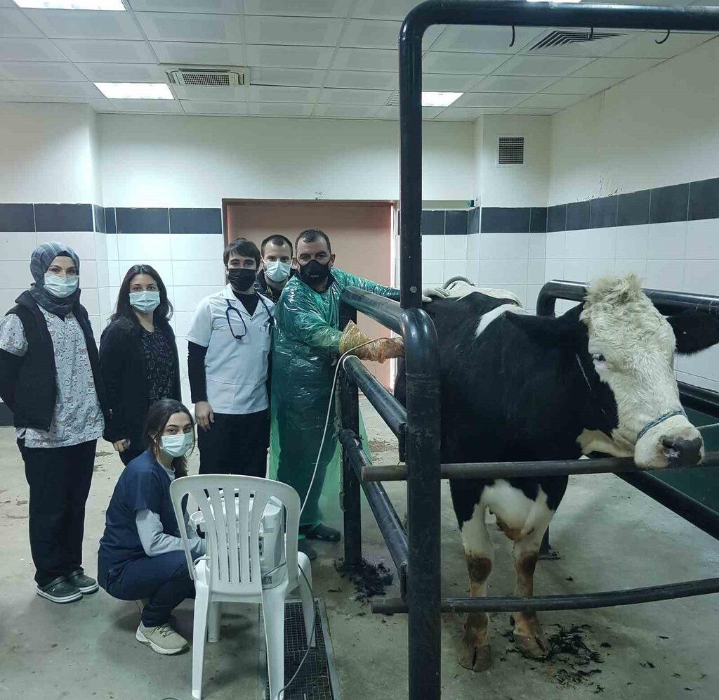 Balıkesir Üniversitesi (BAÜN), faaliyet gösterdiği tüm alanlarda değer üretimini sürdürüyor.