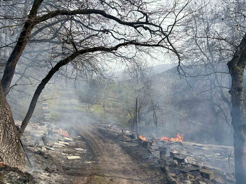 Balıkesir’in Gönen ilçesine bağlı Alaşar Mahallesi’nde çıkan orman yangını, kuvvetli