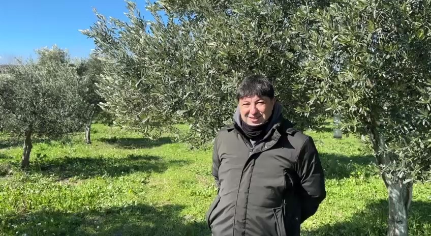 Türkiye genelinde etkili olan soğuk hava dalgası, zeytin üreticileri için