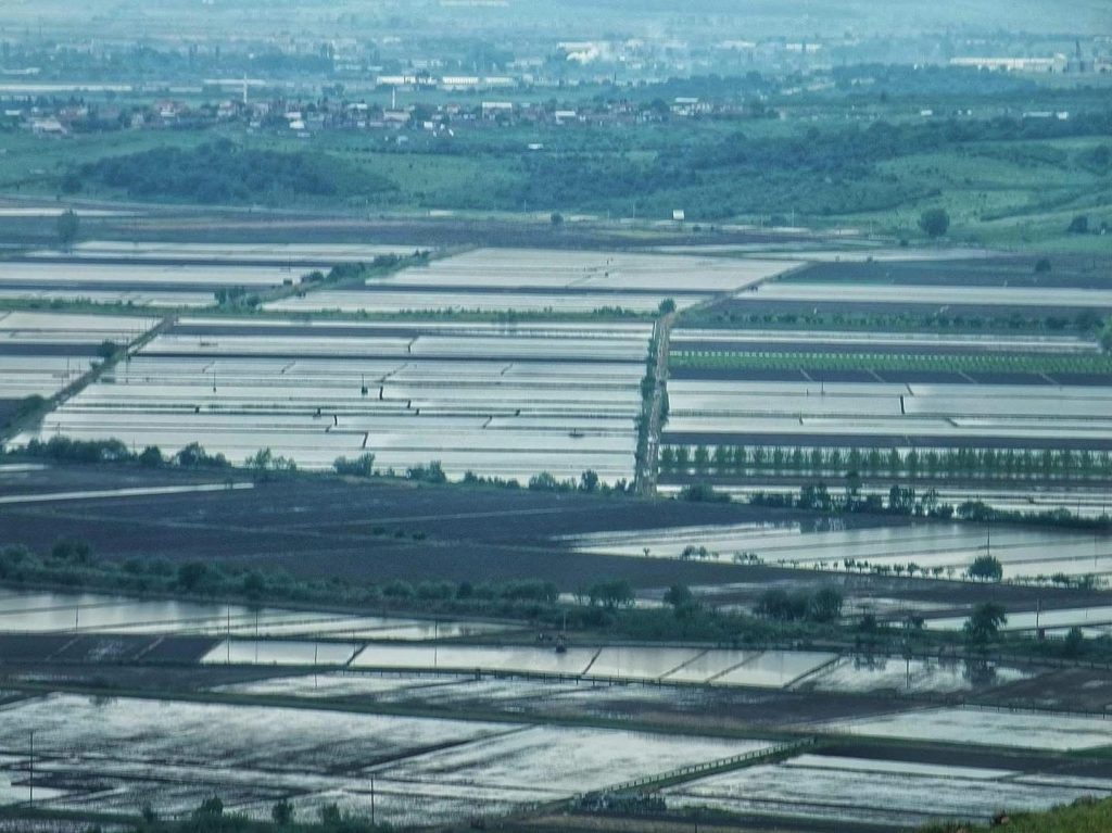 Balıkesir’in Gönen ilçesinde Gönen Çeltik Komisyonu’nun, yaptığı toplantıda 2025 yılı
