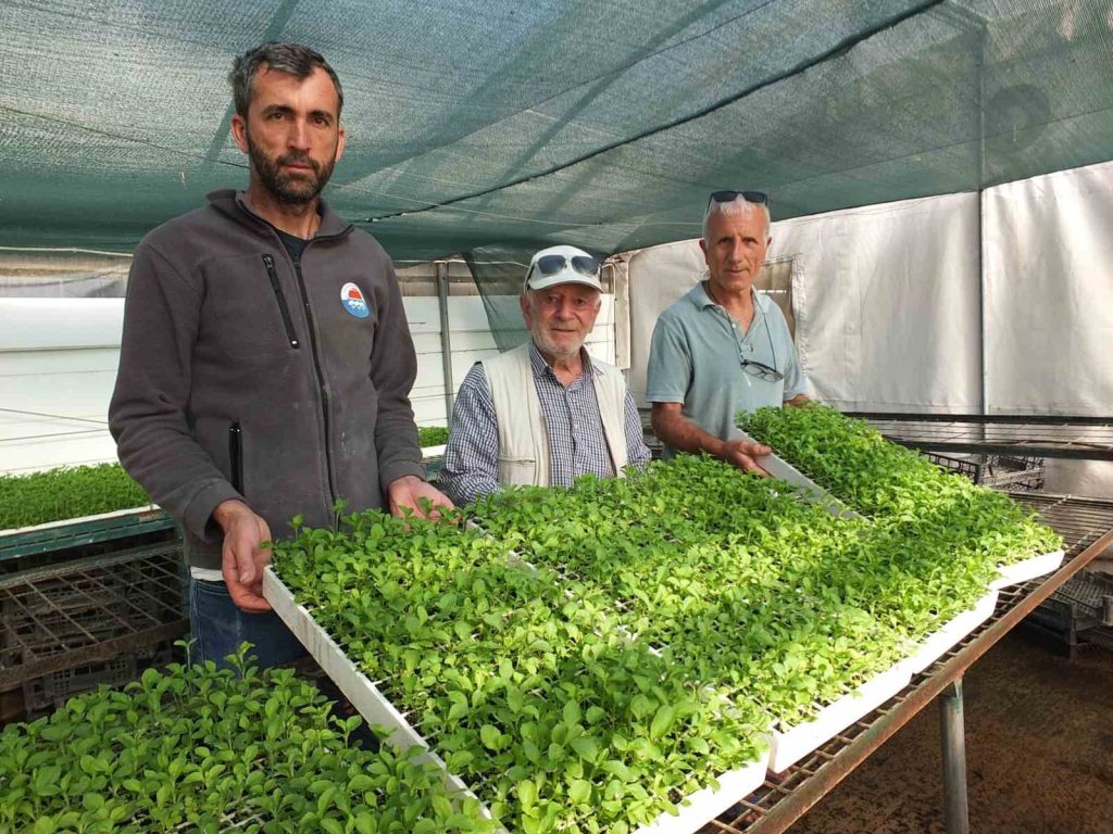 Burhaniye ilçesinde yaşayan emekli albay Selahattin Güvenç (75), 14 yıl