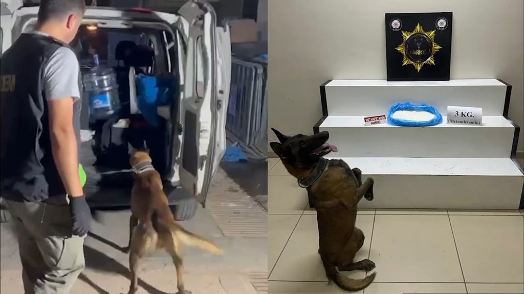 Balıkesir’de gerçekleştirilen operasyonda, 3 kilogram metamfetamin ele geçirildi. Edinilen bilgiye