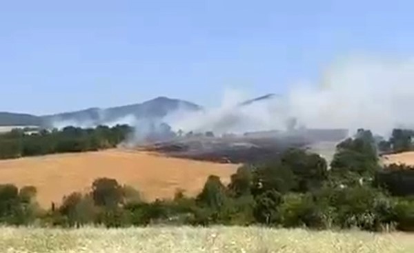 Balıkesir’in Gönen ilçesine bağlı Hacıvelioba Mahallesi’nde buğday ekili arazide yangın
