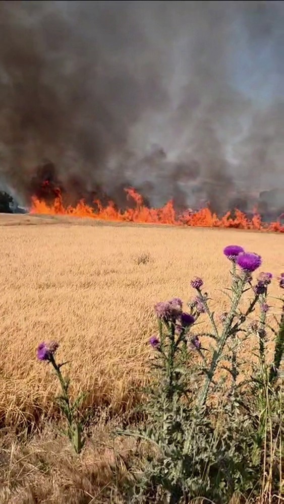 Balıkesir’in Susurluk ile Bandırma ilçeleri arasındaki kara yolunda yol kenarında