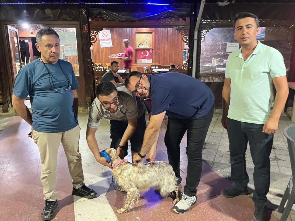 Havran İlçe Tarım ve Orman Müdürlüğü tarafından düzenlenen toplu kuduz