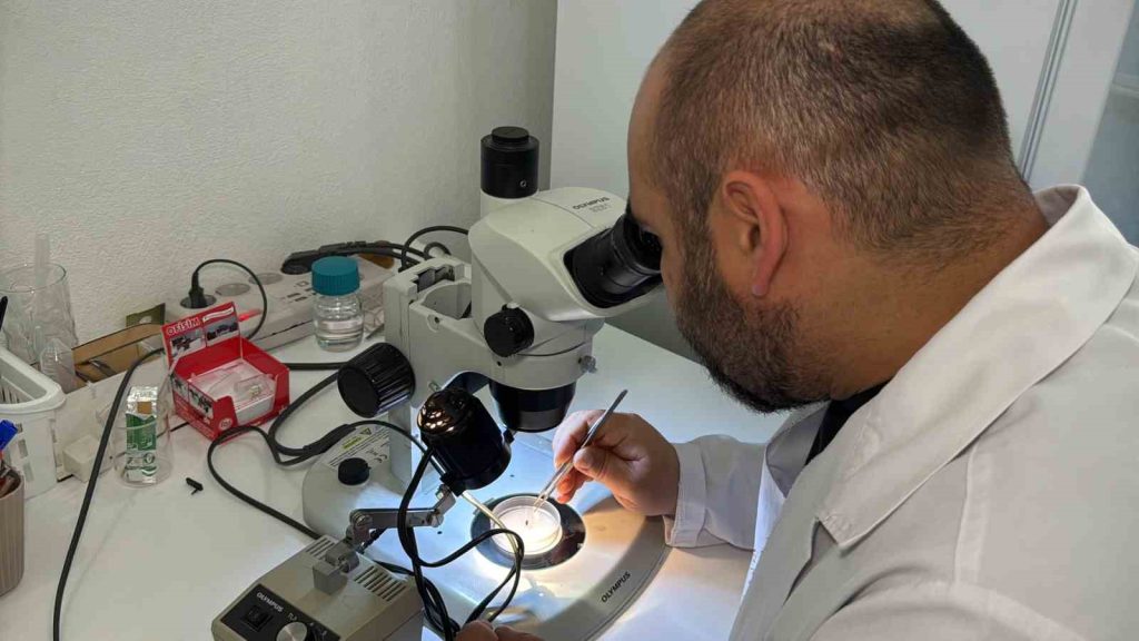 Türkiye’nin Asya, Avrupa ve Afrika kıtaları arasında bir kavşak konumunda