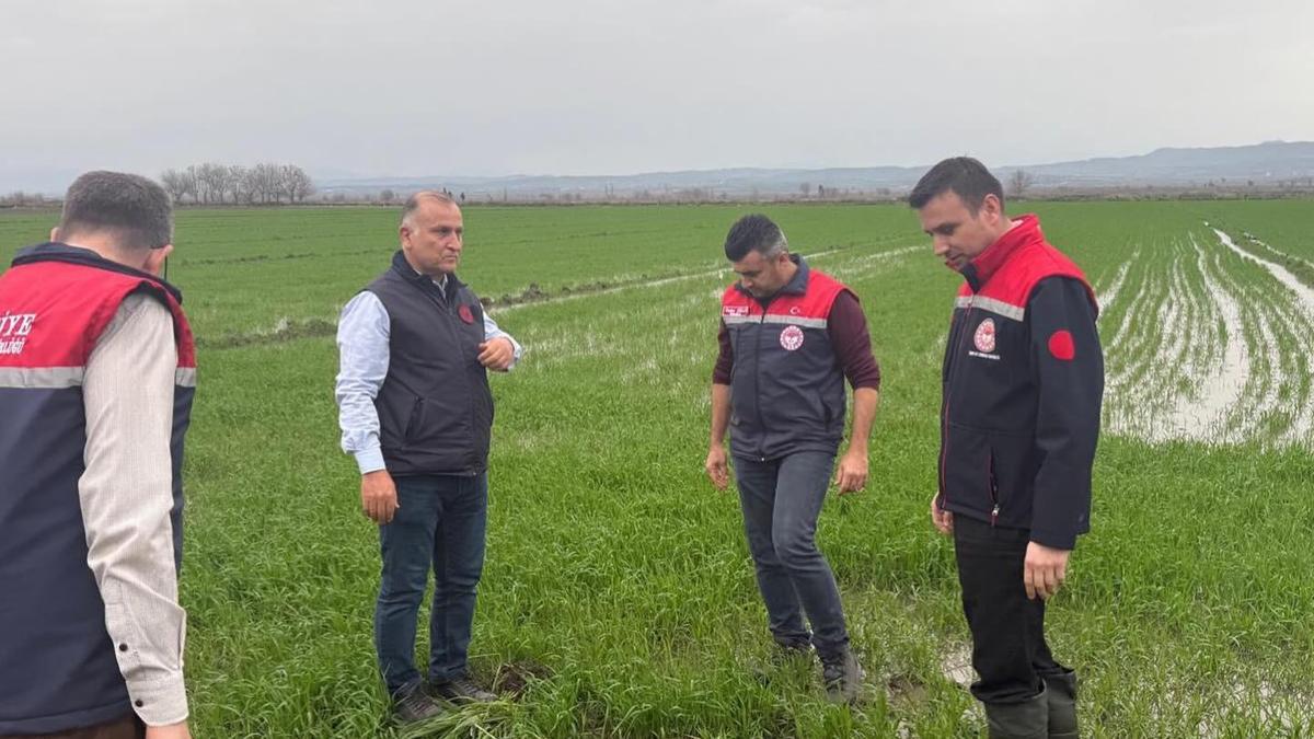 Osmaniye’de sağanak sonrası tarım arazilerinde hasar tespiti sürüyor