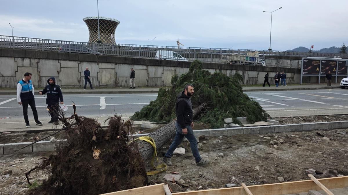 Rize’de fırtına; yol kenarındaki ağaçlar devrildi